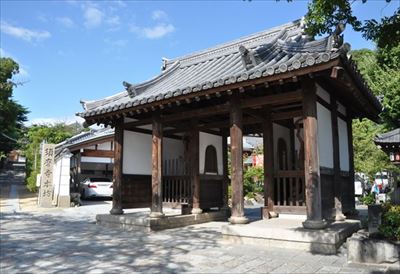 フェリシモ猫部　光背つめとぎ