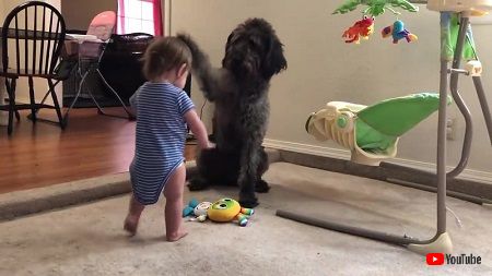 わんことの赤ちゃん