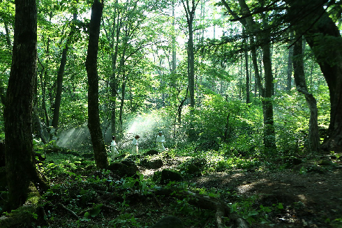 約束のネバーランド 浜辺美波 約ネバ 実写映画化