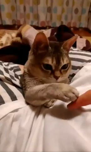 癒月こなみさん