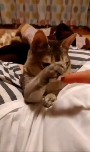 癒月こなみさん