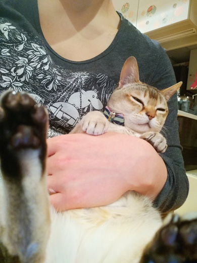 癒月こなみさん