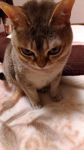 癒月こなみさん