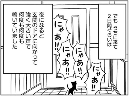 「窓際のクロ」宇仁田ゆみ