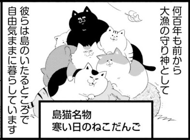 「島のねこ、ウチのねこ」木月けいこ