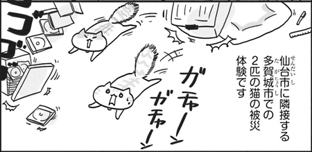 「猫と震災と母親と」アベナオミ