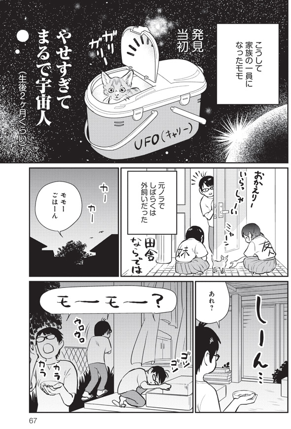 三本一舞『モモが行方不明』3