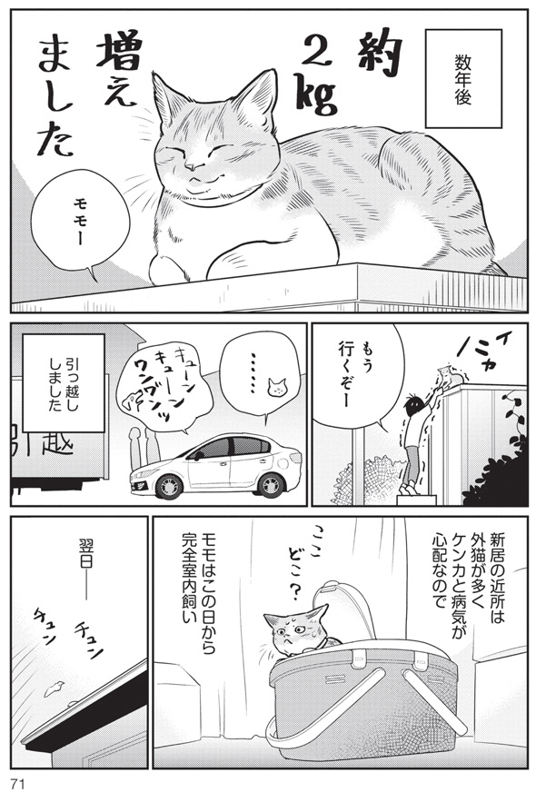 三本一舞『モモが行方不明』7