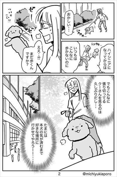 うちのトイプーがアイドルすぎる