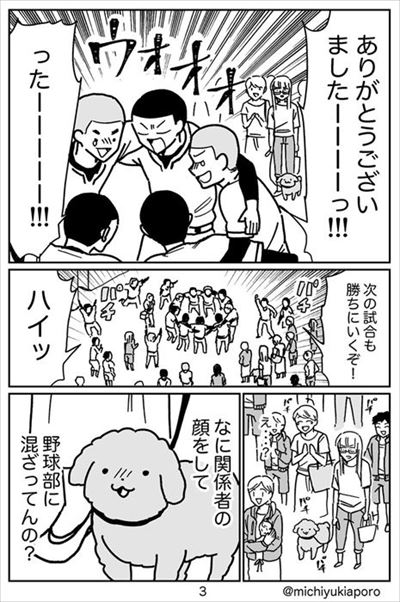 うちのトイプーがアイドルすぎる