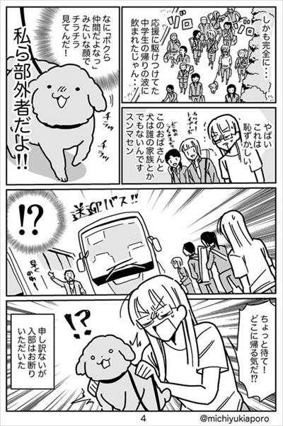 うちのトイプーがアイドルすぎる