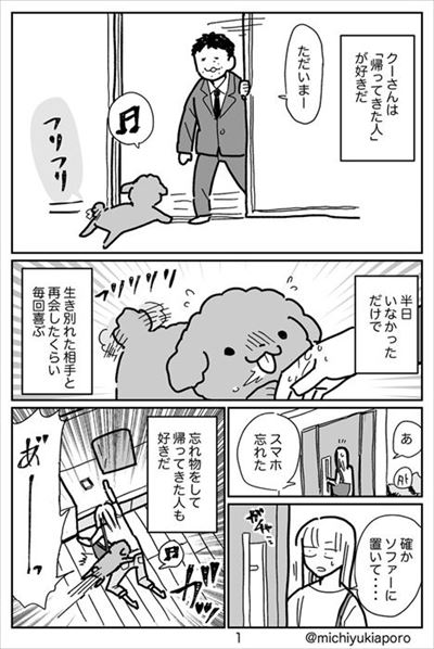 うちのトイプーがアイドルすぎる