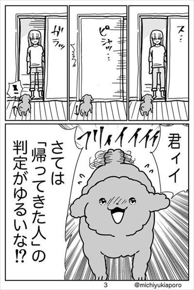 うちのトイプーがアイドルすぎる