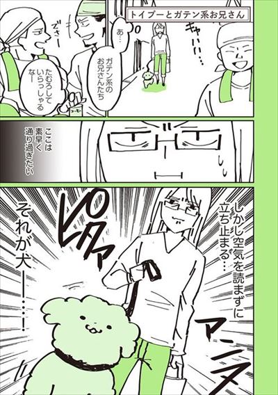 うちのトイプーがアイドルすぎる