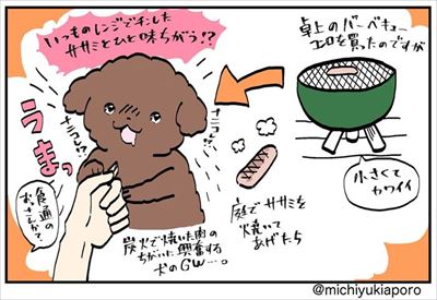 うちのトイプーがアイドルすぎる