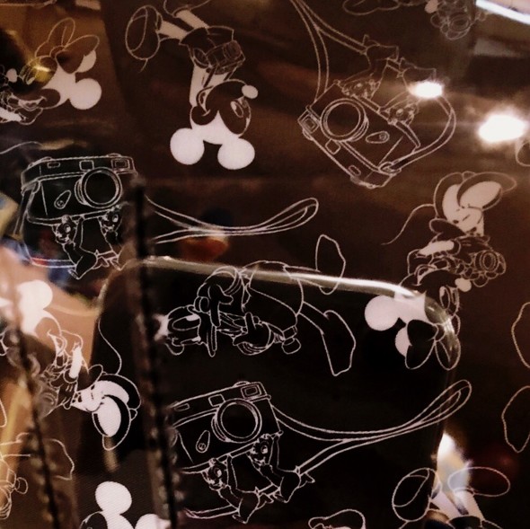 ディズニーストアコレクション用グッズ