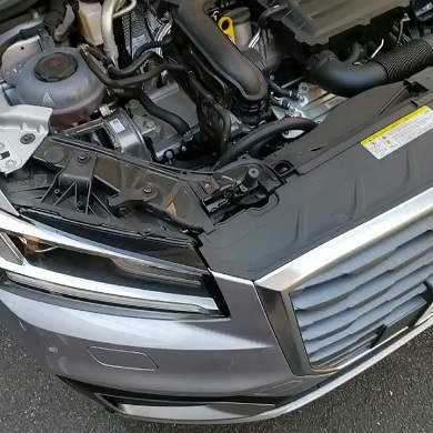 猫バンバン ボンネット