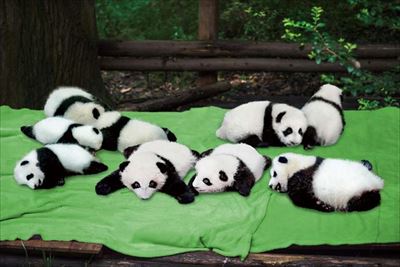 フェリシモ　パンダクッションソファ