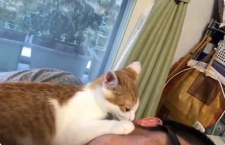 ストーブにメロメロの猫ちゃん