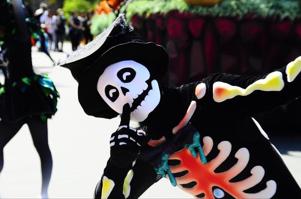 ディズニーランドショー