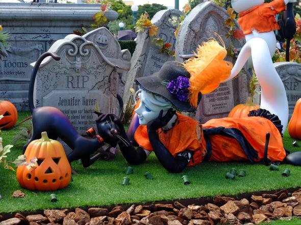 ディズニーランドショー