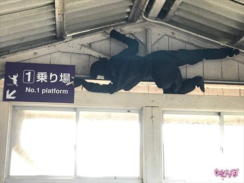 SHINOBI-TRAIN