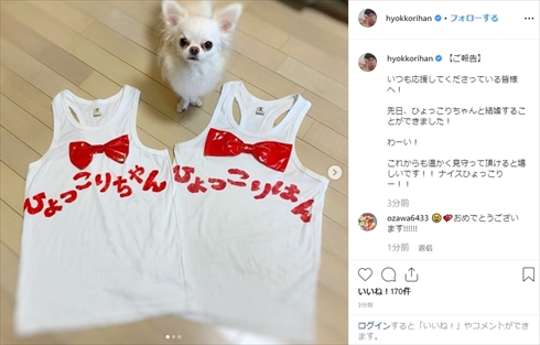 ひょっこりはん ひょっこりちゃん 結婚 インスタ 彼女