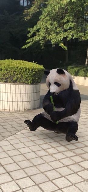 GoogleARアニマル