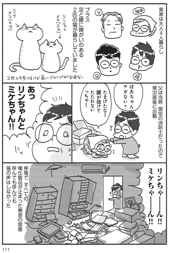 アベナオミ『猫と震災と母親と』3
