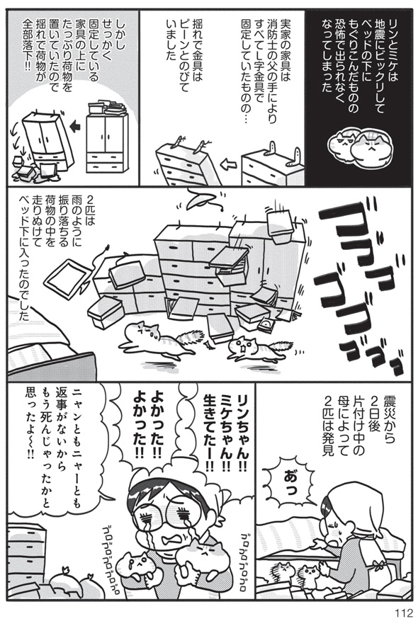 アベナオミ『猫と震災と母親と』4