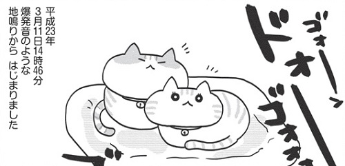 「猫と震災と母親と」アベナオミ