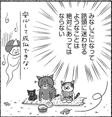 「猫を託す」simico