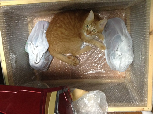 箱の中のみーくん