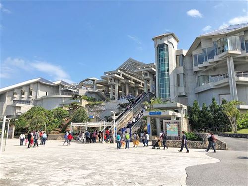 トリップアドバイザー　動物園・水族館ランキング