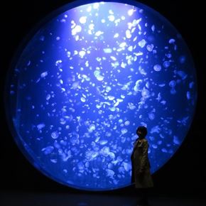 トリップアドバイザー　動物園・水族館ランキング