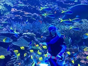 トリップアドバイザー　動物園・水族館ランキング