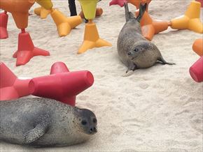 トリップアドバイザー　動物園・水族館ランキング