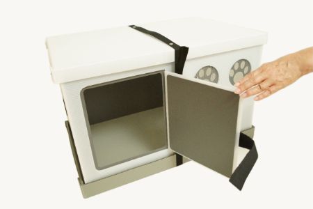 いっしょに避にゃん