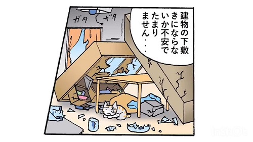 いっしょに避にゃん