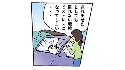 いっしょに避にゃん