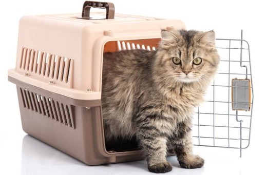 ペット手帳 ネコ 防災