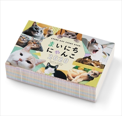 まいにちにゃんこ