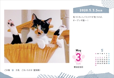 まいにちにゃんこ