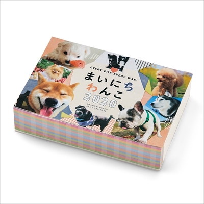 まいにちにゃんこ