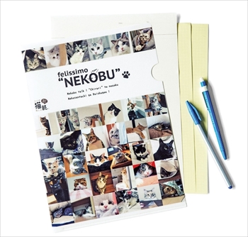 まいにちにゃんこ