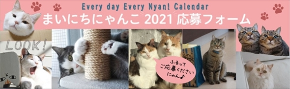 まいにちにゃんこ