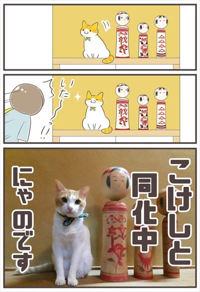 猫