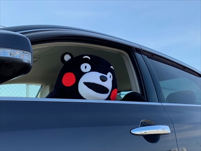 くまモンぬいぐるみ