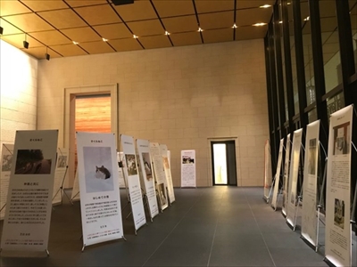 ワンニャン写真・動画コンテスト