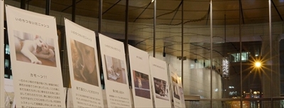 ワンニャン写真・動画コンテスト